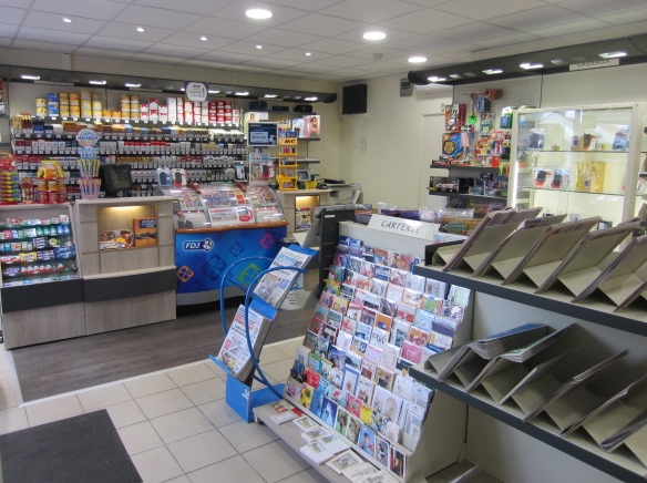 MOISSY CRAMAYEL 77 - 241 RUE DES EPINNETTES